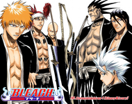 Ichigo, Renji, Ikkaku, Kenpachi, Byakuya, and Hitsugaya on the cover of Chapter 193.