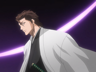 Aizen as he ascends to Hueco Mundo.