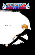 Ichigo on the cover of Chapter 17.