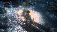 parasite farm in Fishing Hamlet