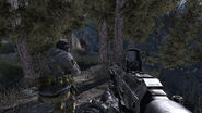 The forest leading towards the safehouse during the beginning of the level