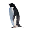 Penguin texture.