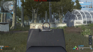 Iron sights