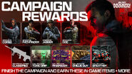 Campaign Rewards.