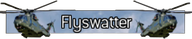 Flyswatter title MW2