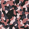 Salamander Camouflage IW