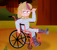 Ered Wheelchair