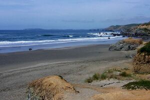 Bodega Bay