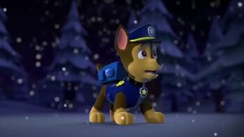 Paw Patrol Chase