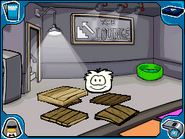 The puffle in the Night Club, after being uncovered