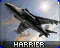 Harrier