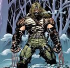 Ultimate universe Sabretooth