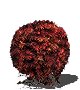 Bloodred Moss Clump