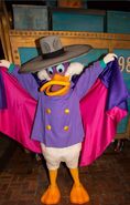 Darkwing at the Disney Parks.