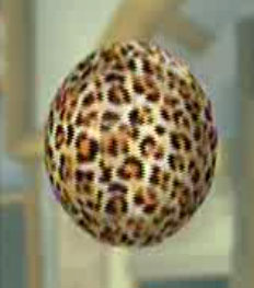 Leopard Print Ball