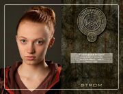 042247052-the-hunger-games-die-tribute-von-panem