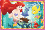 Ariel's treasures