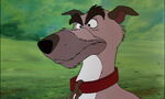 Chief (The Fox and the Hound)