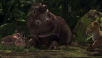 Mama Hippo 6