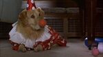 Air-bud-disneyscreencaps.com-108