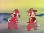 Chip and Dale awarded honorary "wonder dogs" by Flash