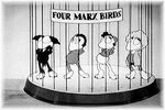 The Marx Brothers as birds renamed as the Four Marx Birds