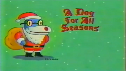 Dog4AllSeasons