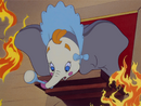 Dumbo looks down