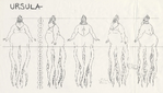 The detailed model sheet of an octopan's body, featuring Ursula.