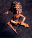 Jason Raize as Simba