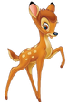 Bambi transparent