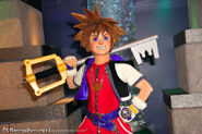 Sora at the Magic Kingdom.