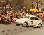 Herbie 6