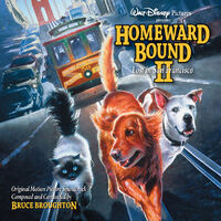 Volume 354: Homeward Bound II: Lost in San Francisco