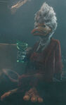 Howard the Duck (Marvel Cinematic Universe and Guardians of the Galaxy)