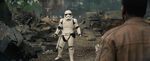 FN-2199