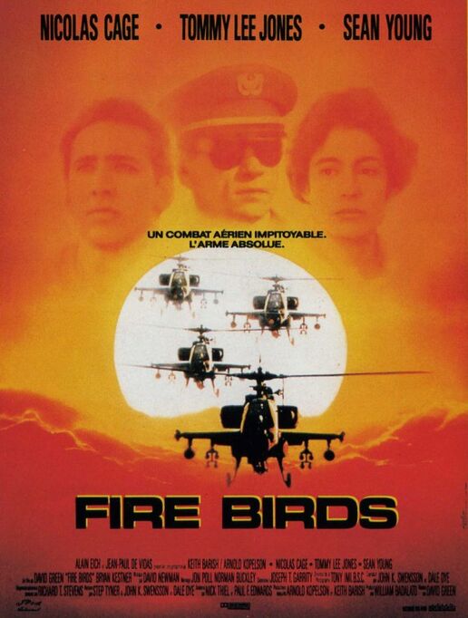 Fire Birds poster