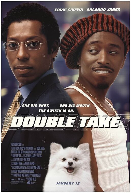 Double Take poster