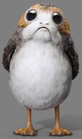 Porgs