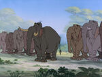 Slob Elephant (The Jungle Book)