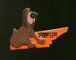 Tennessee Pin