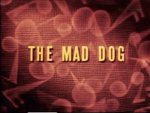 Title card