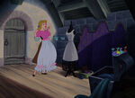 Cinderella shows the dress to her animal friends.