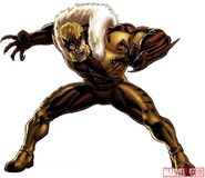 Sabretooth from Marvel: Avengers Alliance