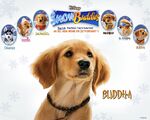 Buddha (Snow Buddies)