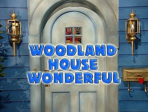 Woodlandhousewonderful