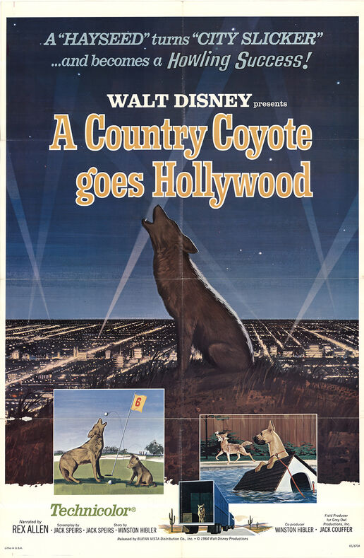 1965-coyote-1