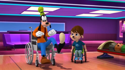 Wheelchair Pals