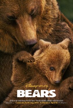 Bears 2014 film