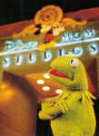 Kermit in Disney-MGM Studios